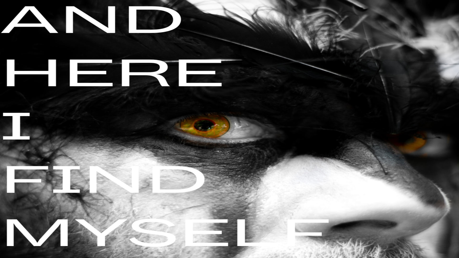 Harrogate Studio Theatre Harrogate Theatre