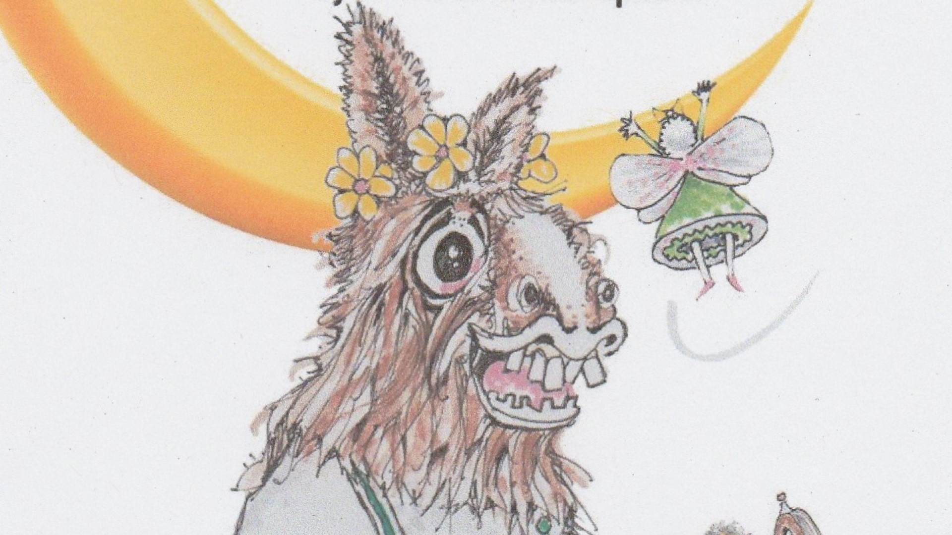 Harrogate Studio Theatre Harrogate Theatre